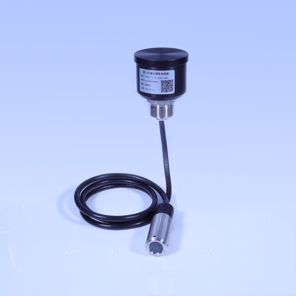 Submersible liquid level IoT sensor PT500-112