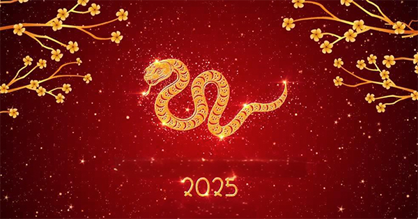 Puliang 2025 Spring Festival Holiday Notice
