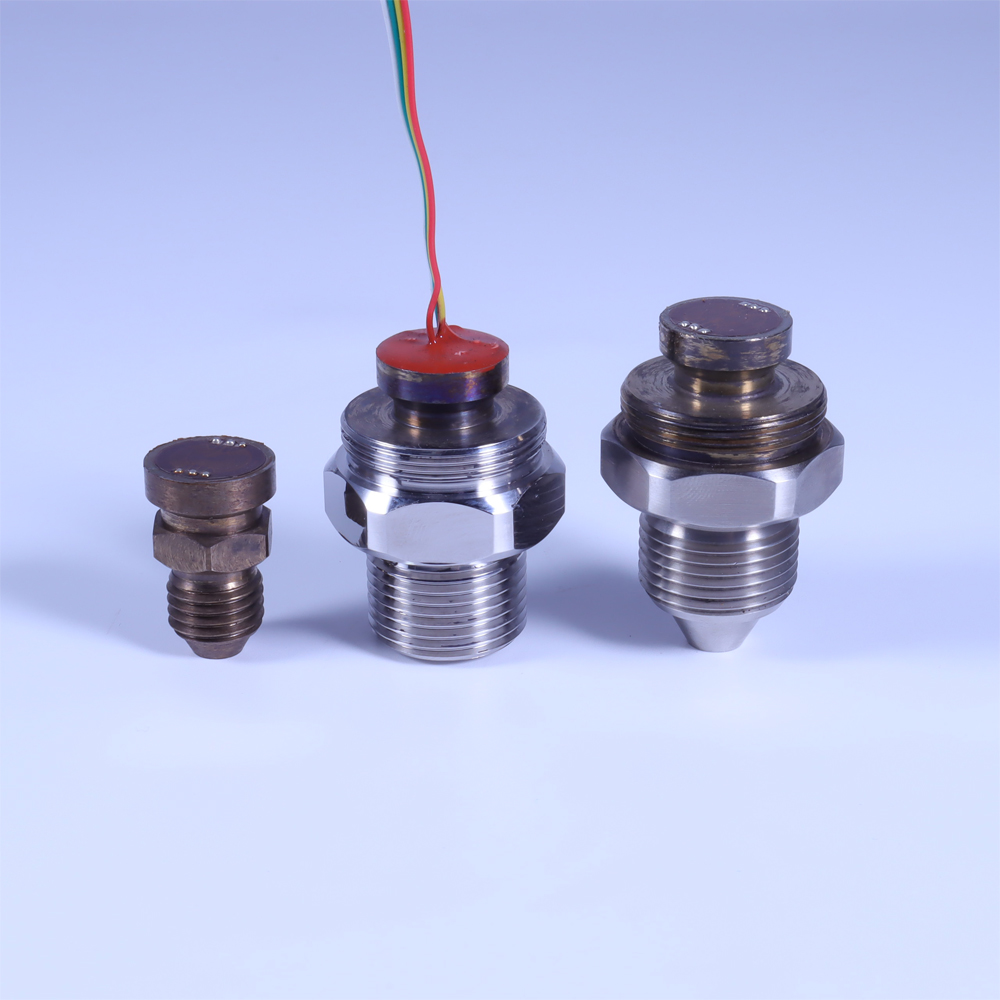 应变计高压芯体 PT500-302